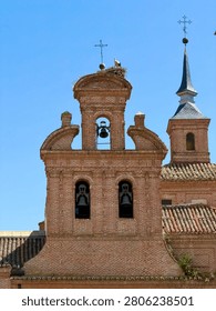 Storks perching on the highest points of the city