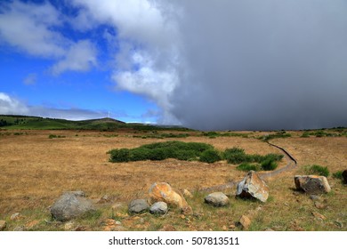 Storm