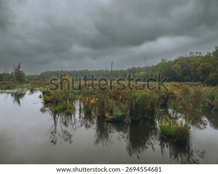 A storm approaching a swamp