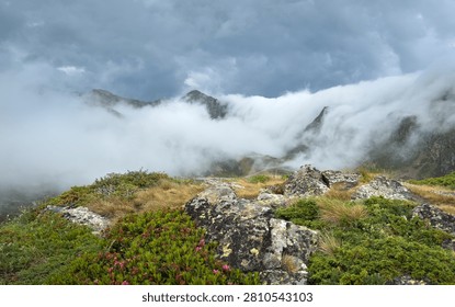 Storm clouds cascade over a rugged Pyrenean ridge above lichen-covered rocks and flowering rhododendron at Tristaina Lakes, Andorra, creating a dramatic alpine scene
