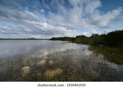 Storm Clouds Gathering Over Sweet Bay Pond In Everglades National Park.