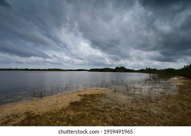 Storm Clouds Gathering Over Sweet Bay Pond In Everglades National Park.