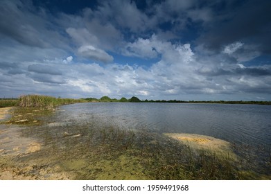 Storm Clouds Gathering Over Sweet Bay Pond In Everglades National Park.