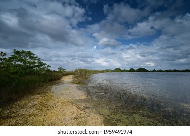 Storm Clouds Gathering Over Sweet Bay Pond In Everglades National Park.