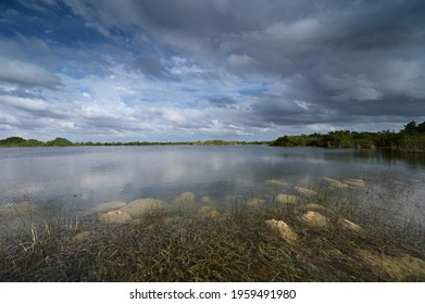 Storm Clouds Gathering Over Sweet Bay Pond In Everglades National Park.