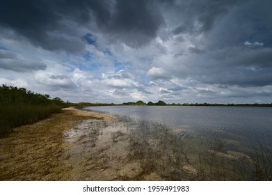 Storm Clouds Gathering Over Sweet Bay Pond In Everglades National Park.