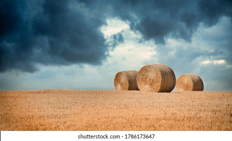 Storm clouds on a hot summer day in a wheat field.