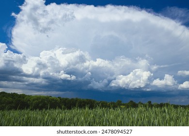 storm clouds over the field