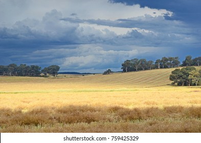 Storm clouds over harvested field and countryside between Grenfell and Cowra in rural NSW