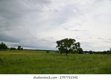 Storm clouds over trees and grass in a field