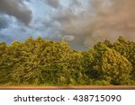Storm clouds over trees that bend in the wind.