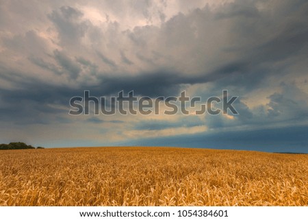 Image, Stock Photo Thunderstorm over a wheat field. Rural scene