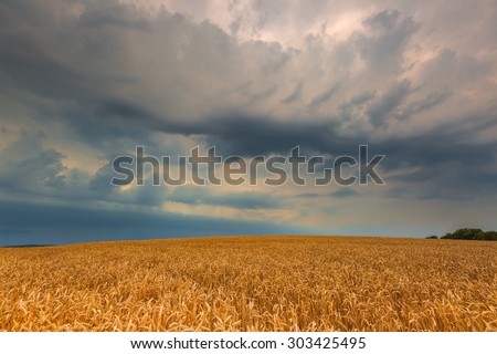 Similar – Image, Stock Photo Thunderstorm over a wheat field. Rural scene