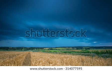 Similar – Image, Stock Photo Thunderstorm over a wheat field. Rural scene