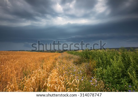 Similar – Image, Stock Photo Thunderstorm over a wheat field. Rural scene