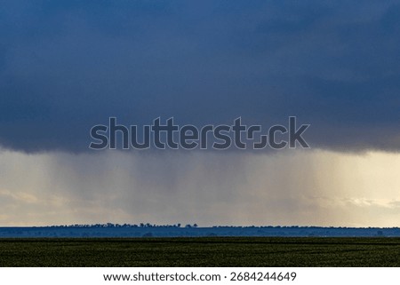 Storm clouds and rain falling on Western Australian wheat field