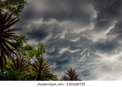 The storm is coming. Storm clouds above the tree. Heavy torrential rain. Rainfall flash flooding . Metorology weather forecast. Low pressure area. La Nina