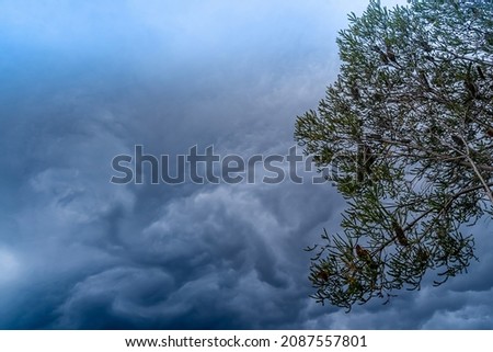 The storm is coming. Storm clouds above the tree. Heavy torrential rain. Rainfall flash flooding . Metorology weather forecast. Low pressure area. La Nina climate