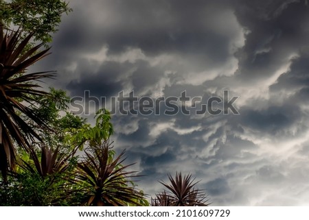 The storm is coming. Storm clouds above the tree. Heavy torrential rain. Rainfall flash flooding . Metorology weather forecast. Low pressure area. La Nina