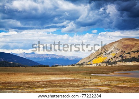 Similar – Image, Stock Photo Dry grasses in autumn. Brown colours and sad mood.