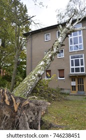 Storm Damage With Fallen Birch And Damaged House After Hurricane Herwart In Berlin, Germany