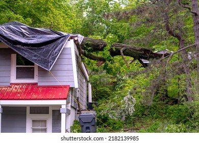 Storm Damage And High Winds Knocks A Tree Down On Top Of The Roof Of This Vacation Home