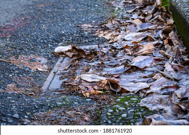Storm drain covered in dead leaves, not ready for winter storms, residential street
