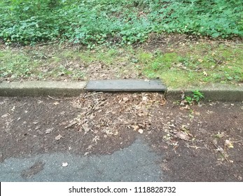 Storm Drain Filled With Debris Near Cement Curb And Asphalt