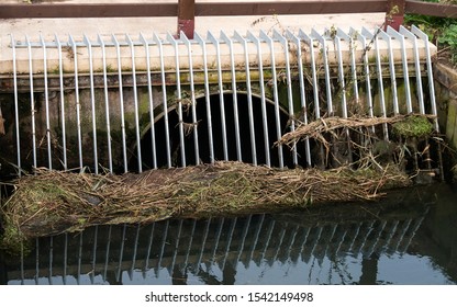 Storm Drain Filter Blocked Up With Debris