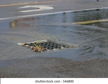 Storm Drain In Road