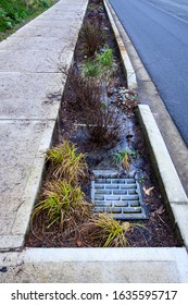 Storm Drain Sidewalk Planter Heavy Rain Stock Photo 1635595717 ...