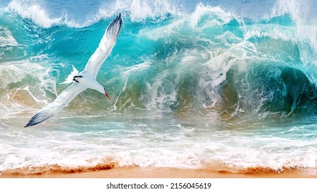 Storm on the ocean and a sea gull against the background of turquoise waves. Mexico. Baja California sur.