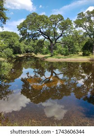 A Storm Retention Basin That Looks Like A Beautiful Natural Pond