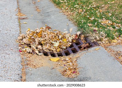 Storm Sewer Grate Clogged With Leaves. Flooding Prevention, Surface Water Runoff And Public Infrastructure Concept.