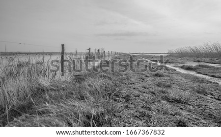 Similar – parted Meadow Field Coast