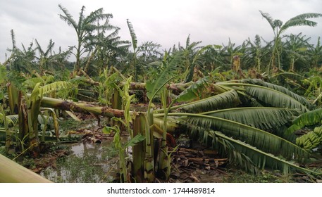 11 Harmful Effects Cyclones Images, Stock Photos & Vectors | Shutterstock