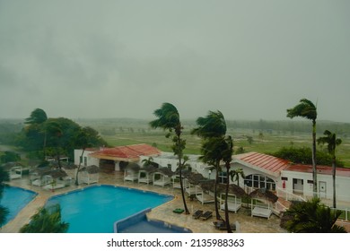 Storm, Wind, Rain Outside The Window. View Of The Pool And Palm Trees In The Hotel.