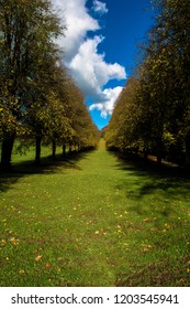 Stormont Estate East Belfast County Down Autumn Sunshine