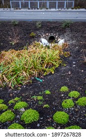 Stormwater Management, Outlet Pipe For Excess Rainwater, Sandbags, And Garden Plantings
