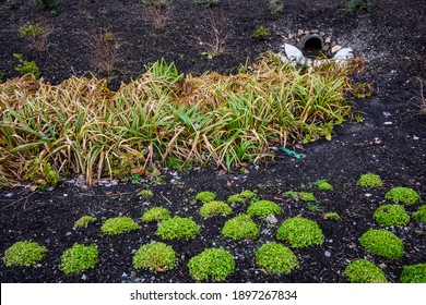 Stormwater Management, Outlet Pipe For Excess Rainwater, Sandbags, And Garden Plantings
