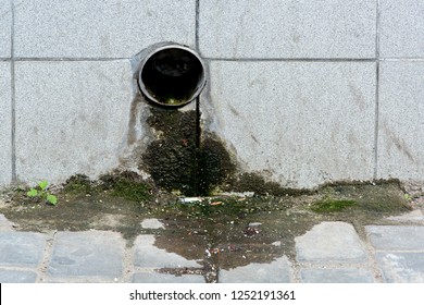 A Stormwater Pipe Emerging From The Wall Of The Building Is Paved With Gray Tile And Covered With Green Moss From Moisture On The Sidewalk.