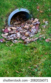 Stormwater Pipe Inlet In A Grassy Median, Filled With Fall Leaves
