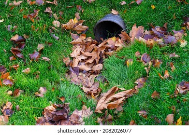 Stormwater Pipe Inlet In A Grassy Median, Filled With Fall Leaves
