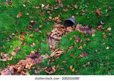 Stormwater Pipe Inlet In A Grassy Median, Filled With Fall Leaves
