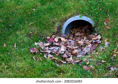 Stormwater Pipe Inlet In A Grassy Median, Filled With Fall Leaves
