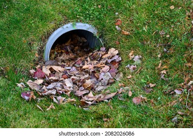 Stormwater Pipe Inlet In A Grassy Median, Filled With Fall Leaves
