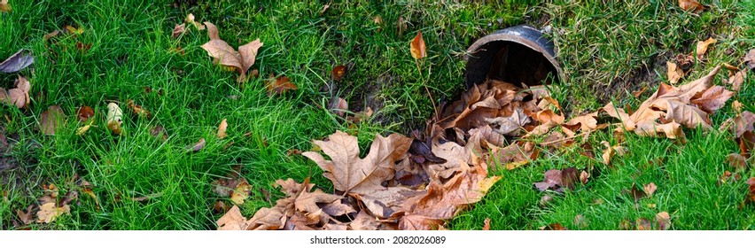 Stormwater Pipe Inlet In A Grassy Median, Filled With Fall Leaves
