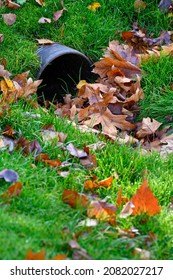 Stormwater Pipe Inlet In A Grassy Median, Filled With Fall Leaves
