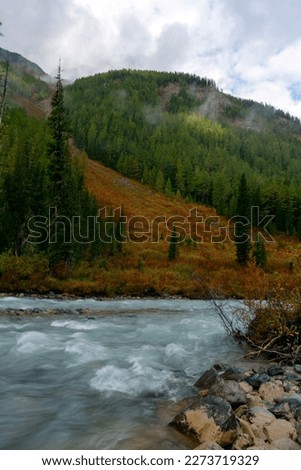 A stormy alpine river with waves against a stone shore and a mountain with fog leaving over the forest after rain in the morning. Vertical frame.