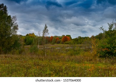 Stormy autumn landscape under threatening clouds with colorful foliage on the trees and a scenic meadow conceptual of the weather and seasons